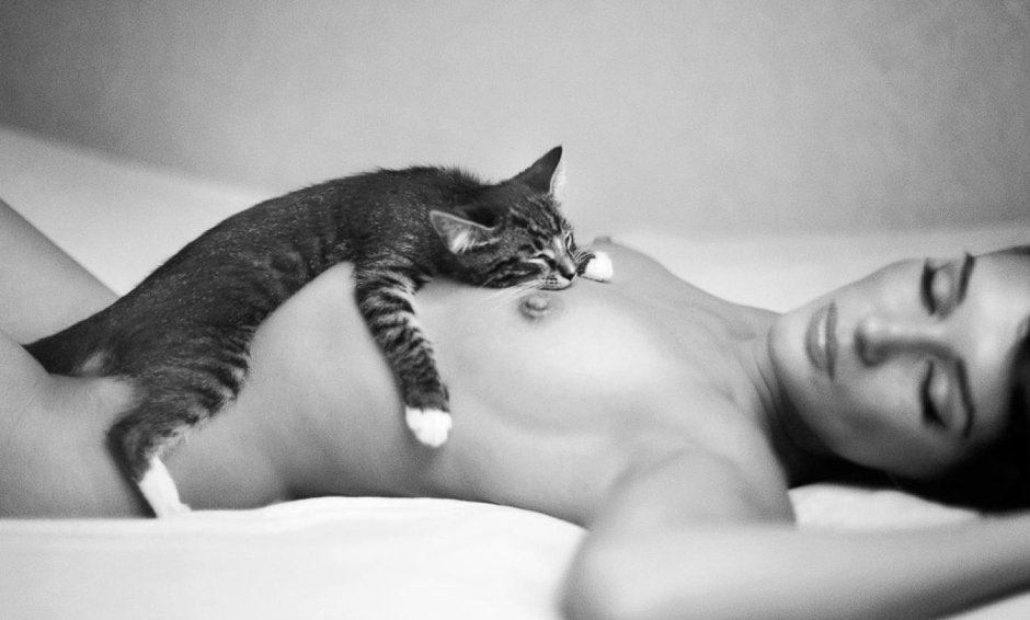Эротическая фотосессия с кошками