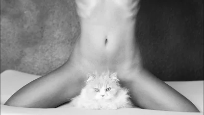 Я женщина кошка