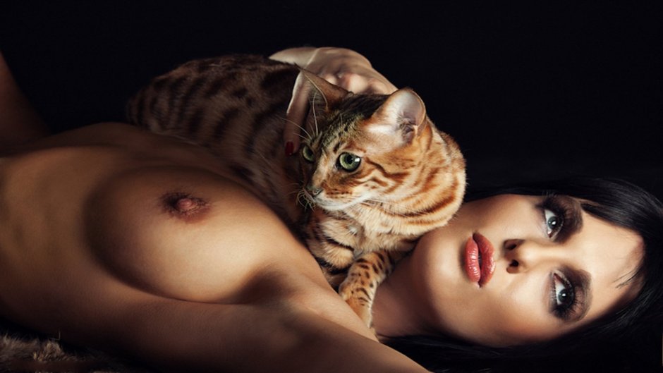 Стикер котик Эротический