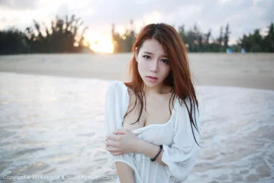 Yang Chen Chen модель