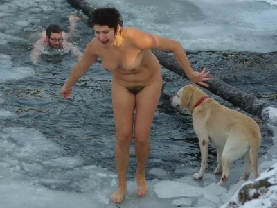 Лабрадор ретривер