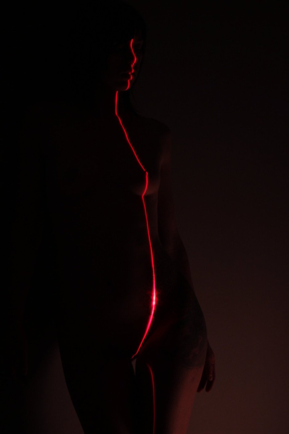 Изящный силуэт девушки