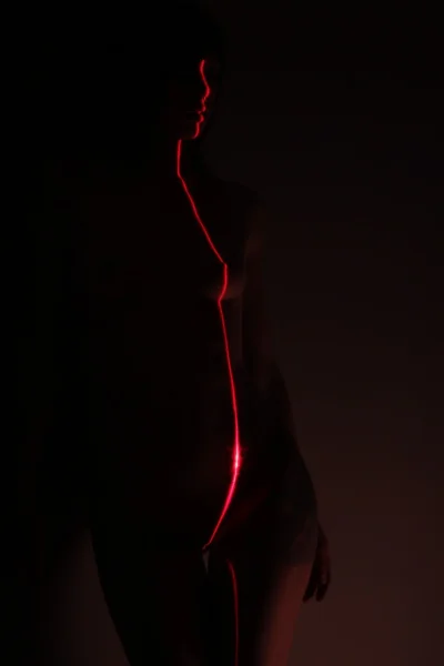 Изящный силуэт девушки