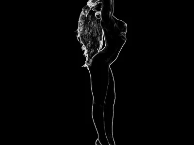 Силуэт торса женщины