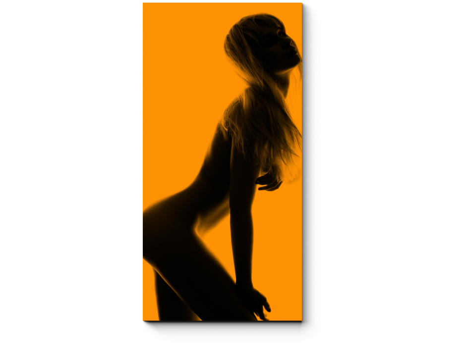 Фон женский силуэт
