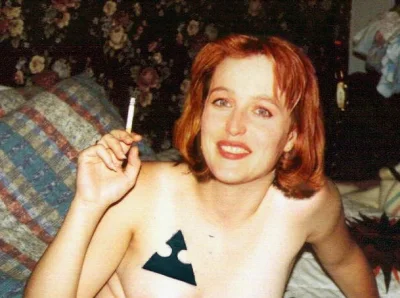 Джиллиан Андерсон в порнографии