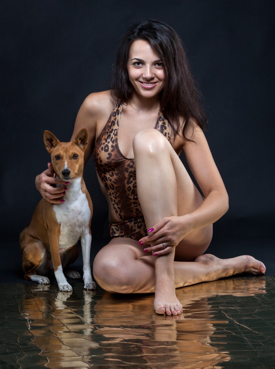 Собака порода басенджи