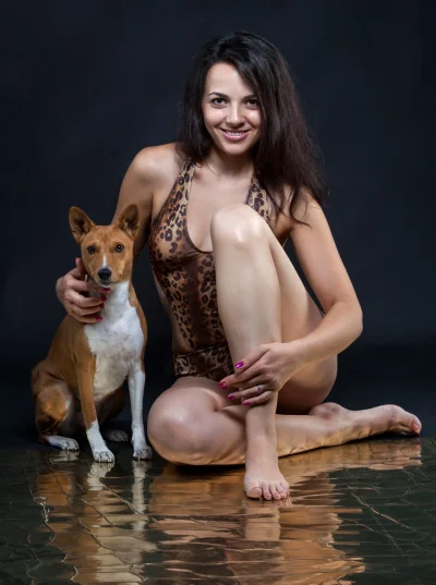 Собака порода басенджи