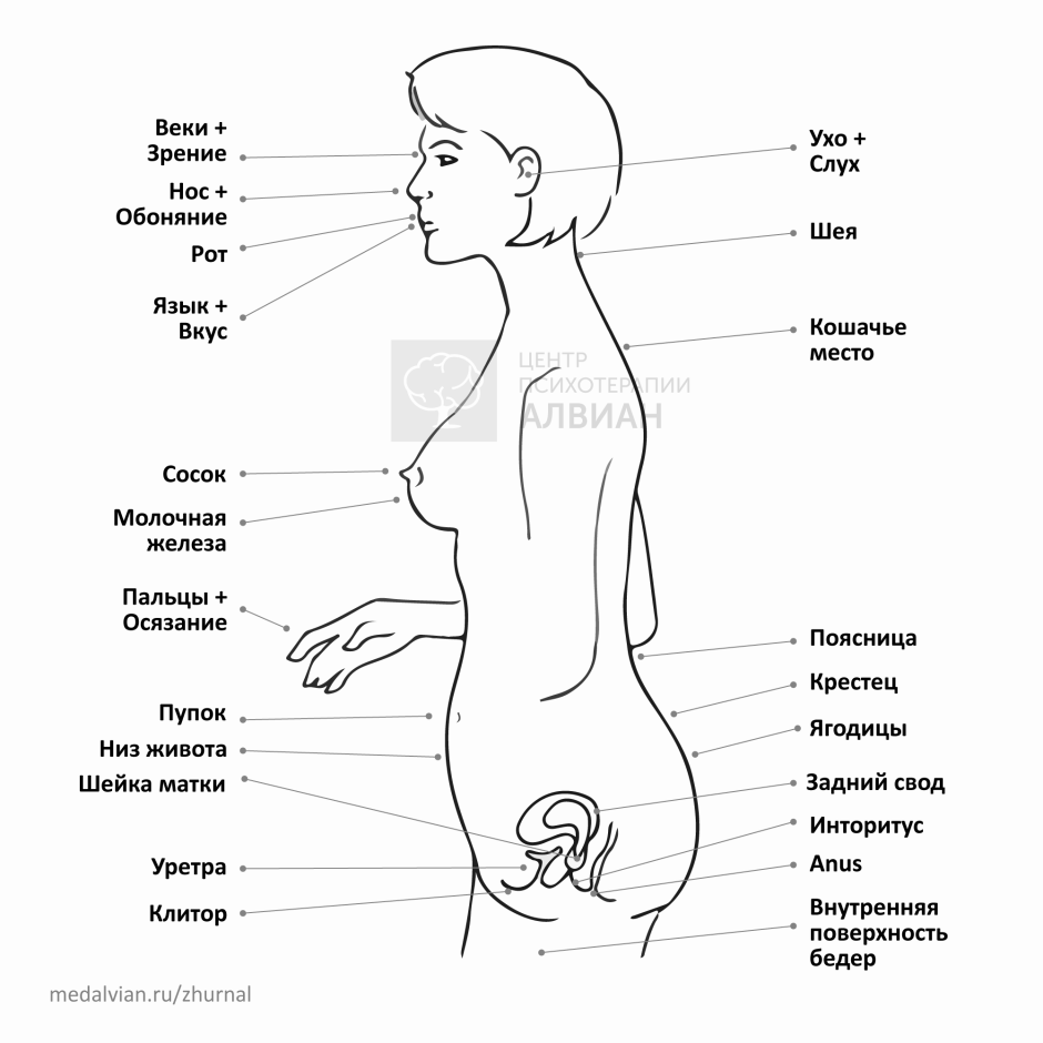 Возбудительные места женщины