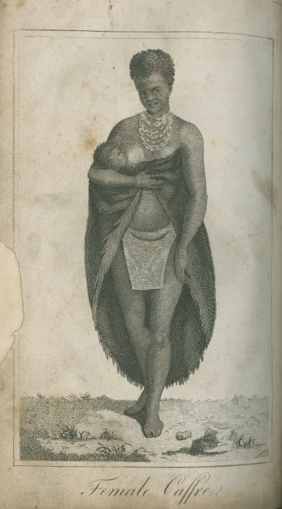 Саарти Бартман половые органы