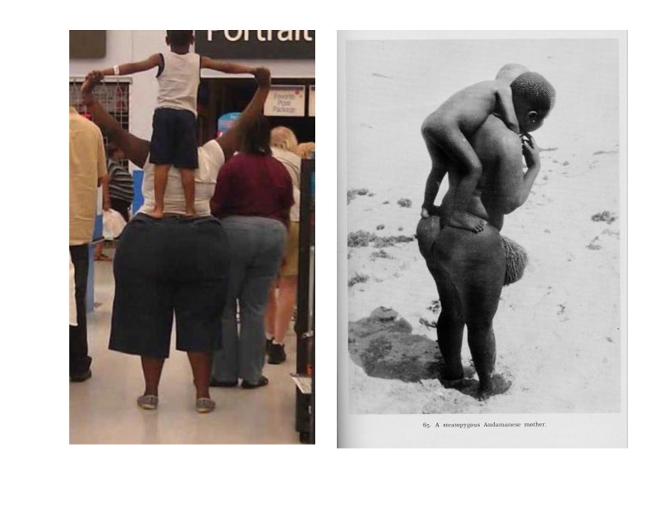 Африканское племя готтентоты