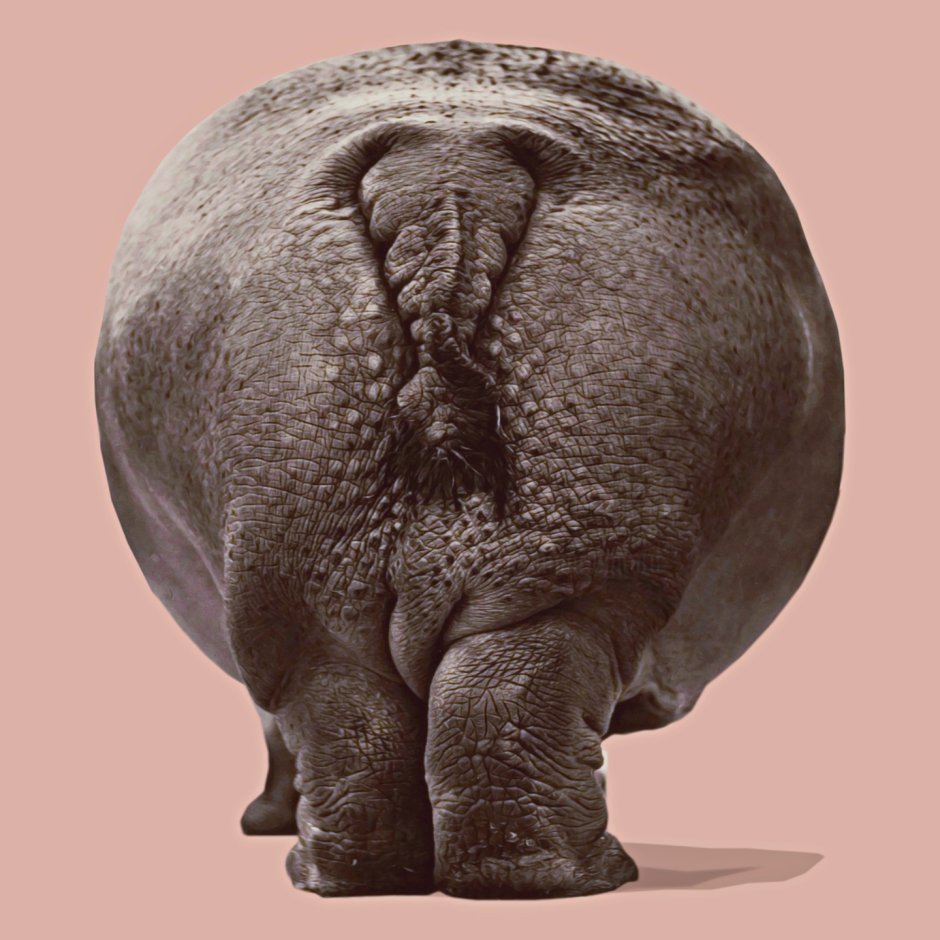 Аборигены Андаманских островов