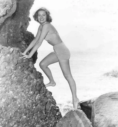 Nancy olson