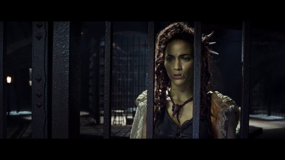 Варкрафт Гарона Полуорчиха