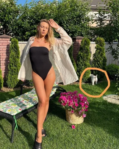 Тодоренко и Леся