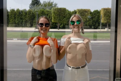 Zishy Диана Седова Виктория Соколова