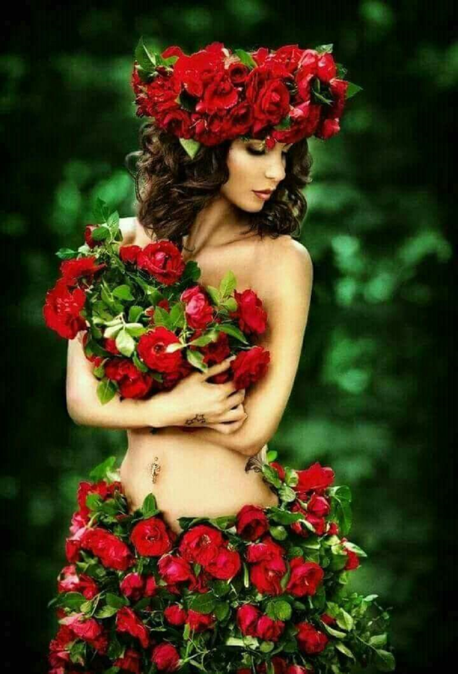 Роза девушка хаймена