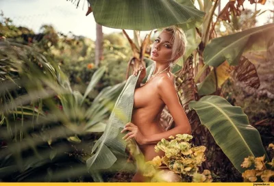 Нехорошие фото 18+целиком