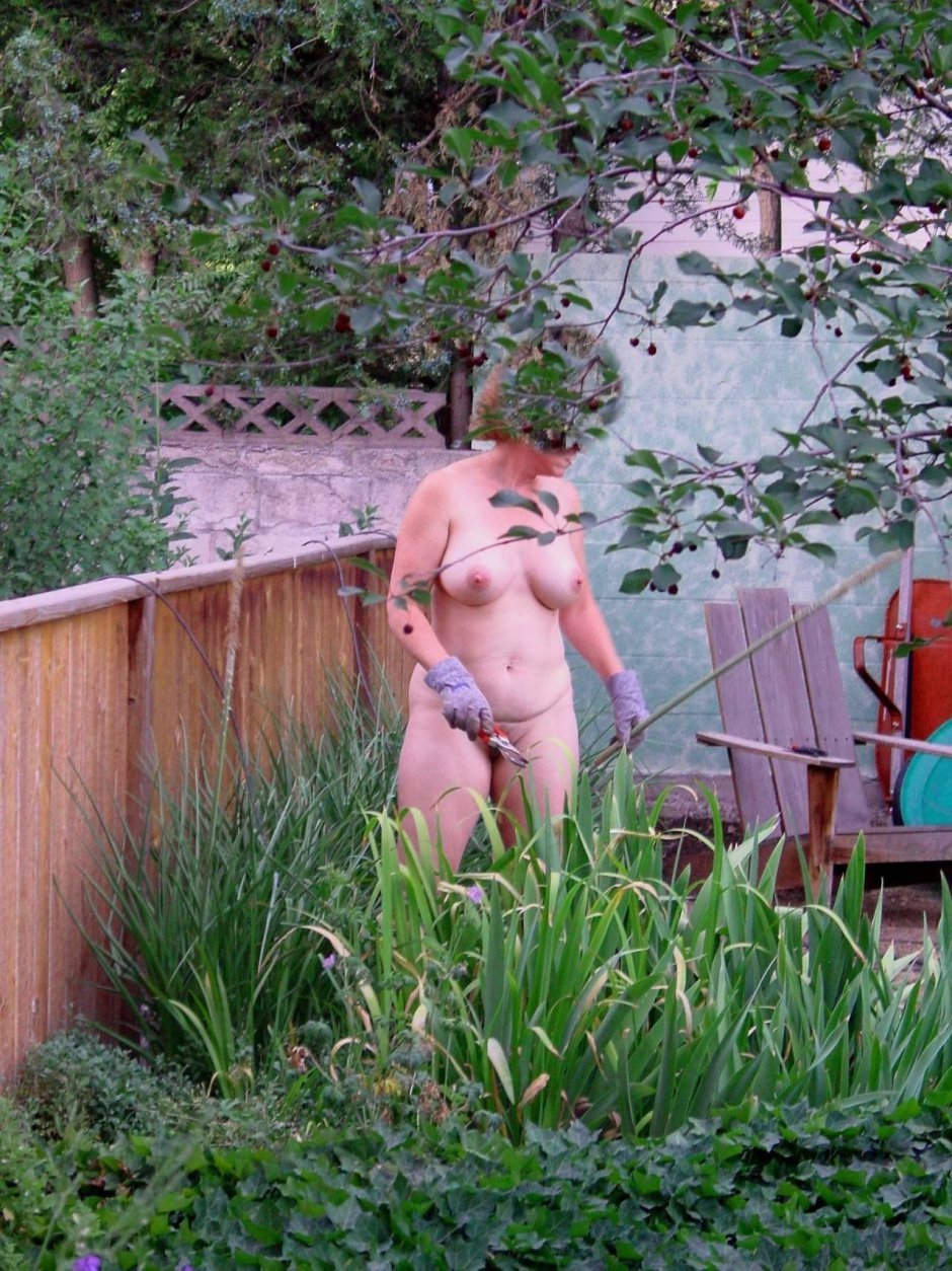 Бабы на даче