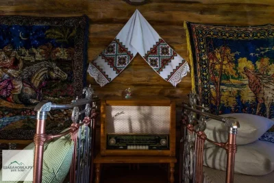 Виктория Одинцова новогодние