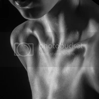 Женская шея и ключицы