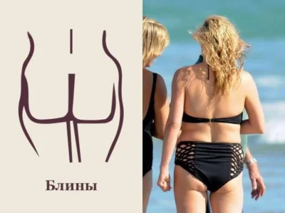 Формы женщин анатомия