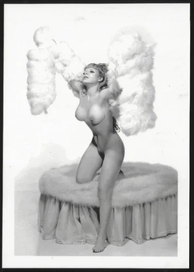 Салли рэнд бурлеск