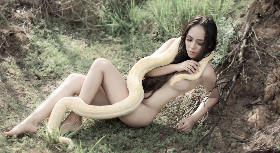 Эротические со змеями обои для рабочего стола