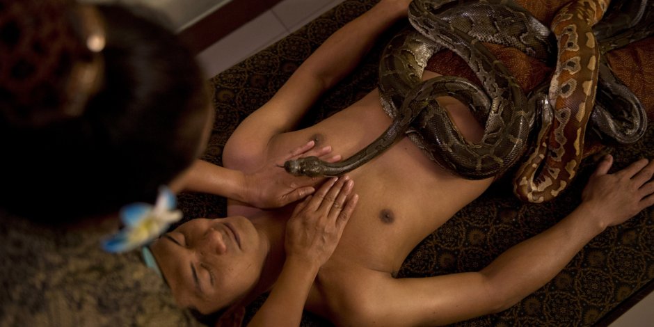 Топлесс с удавом