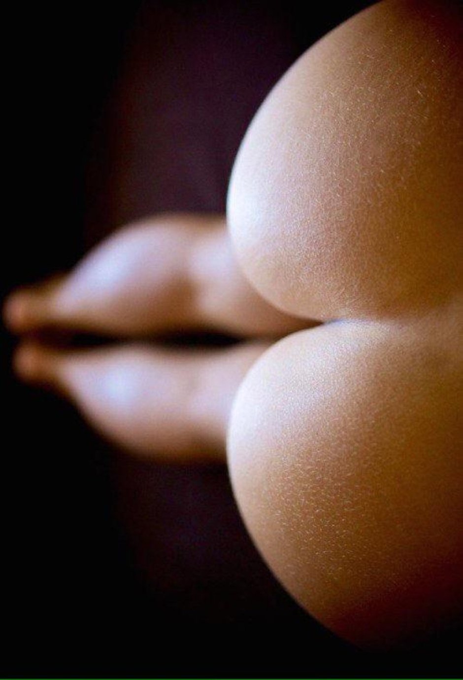 Попа коричневый