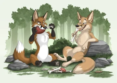 Фурри лис tani da real