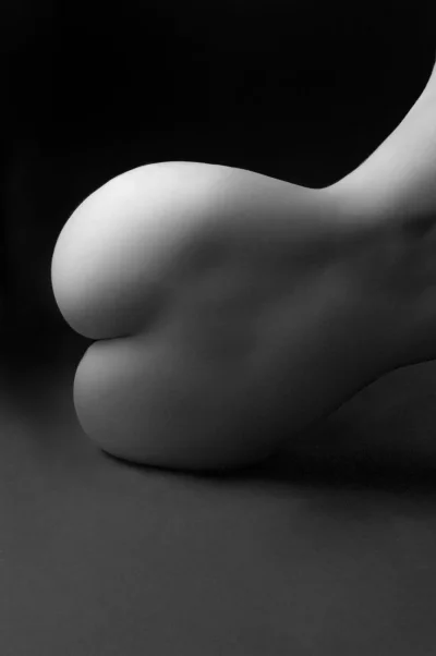 Голая попа черно белое