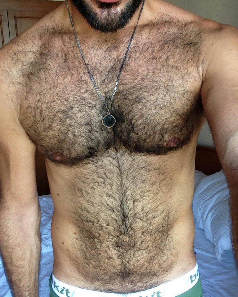 Мужской торс волосатый