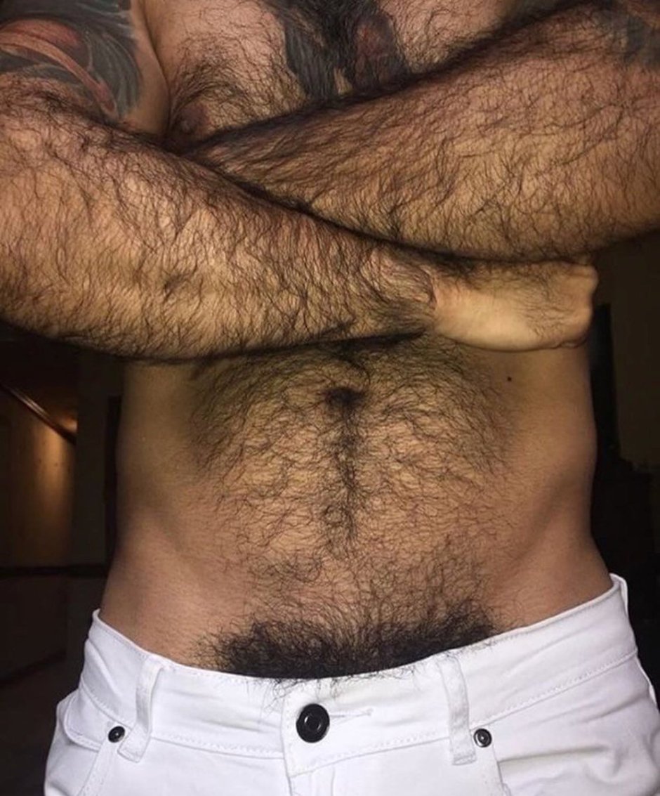 Волосатый мужской лобок