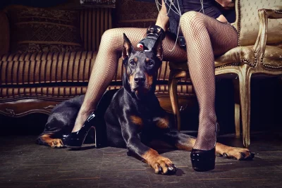 Ирина Шейк с доберманом