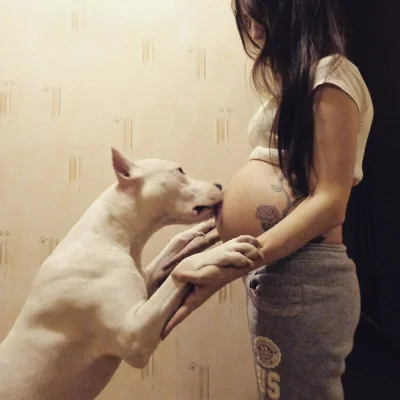 Девушка и питбуль