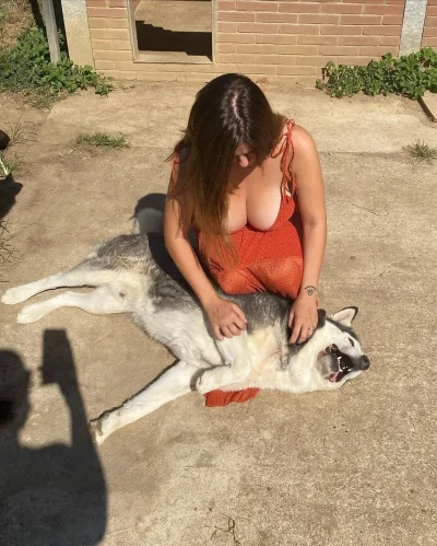 Огромные собачьи сиськи