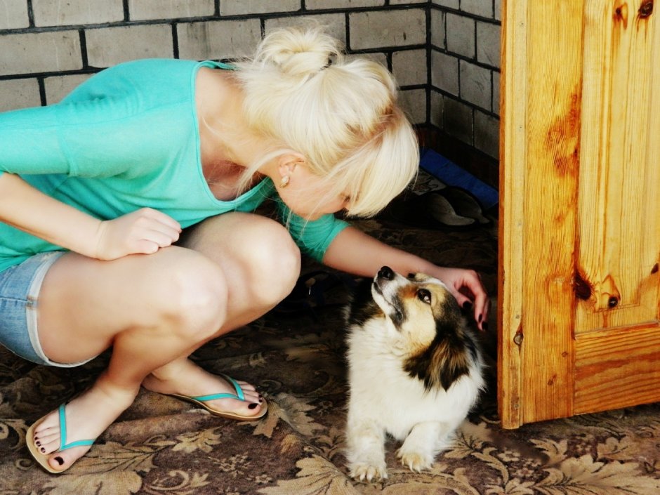 Раздетая девушка собака