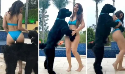 Собака пристает к девочке