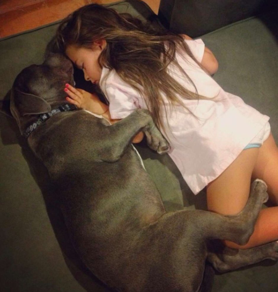 Девушка спит с псом