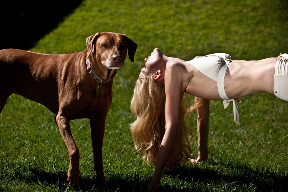 Девушка под собакой