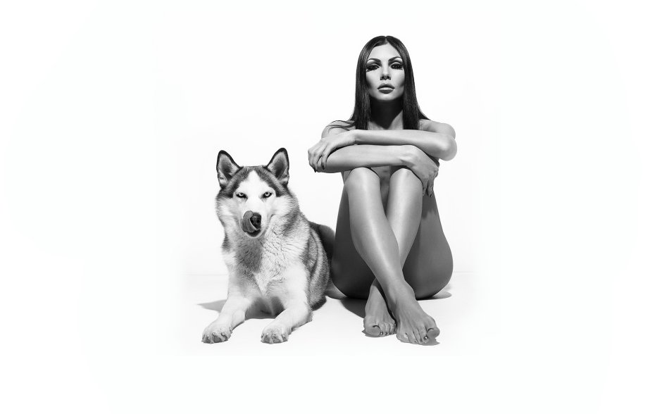 Фотосессия собаки на белом фоне