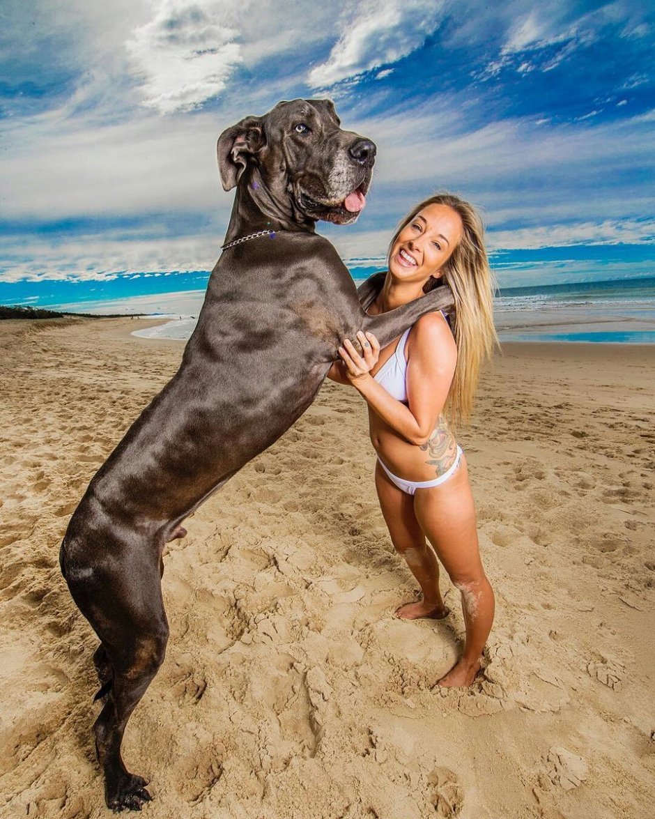 Женщина с собакой