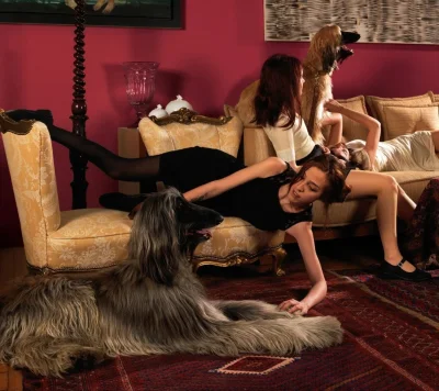 Собачий стиль поза