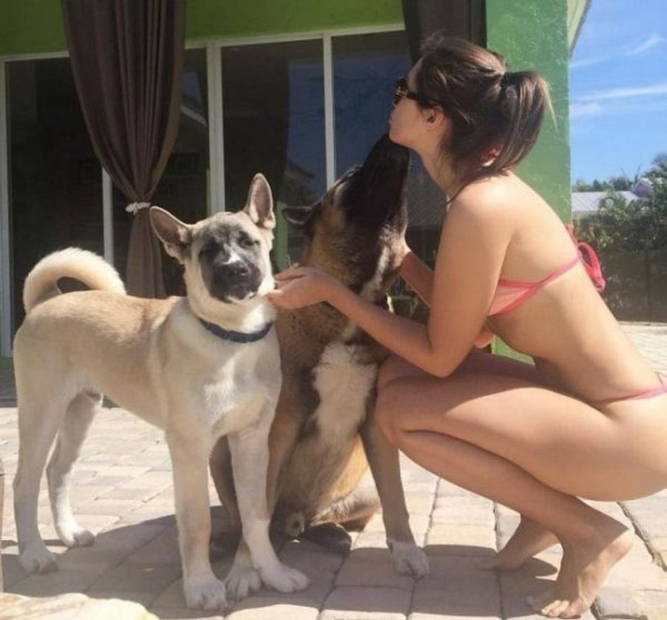 Девушка и собака прикол