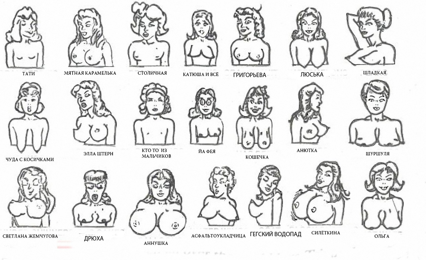 секс виды груди у женщин (120) фото