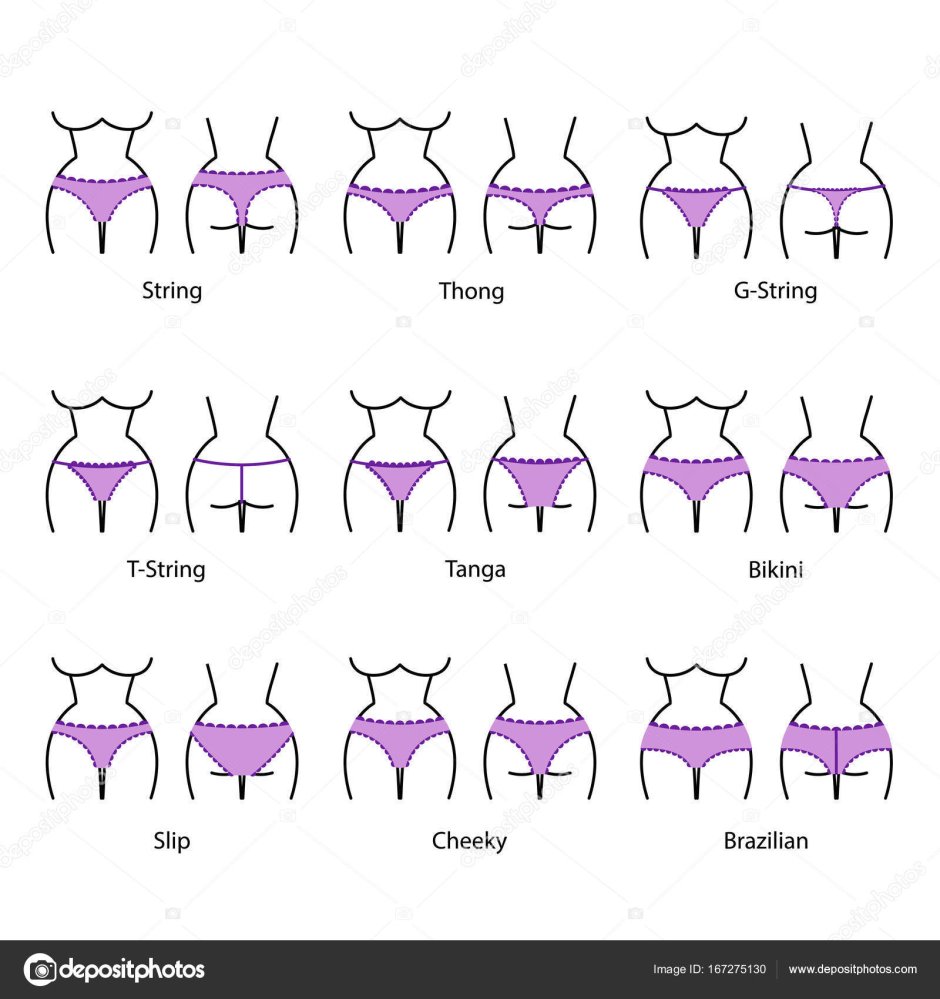 Different Pussy Types