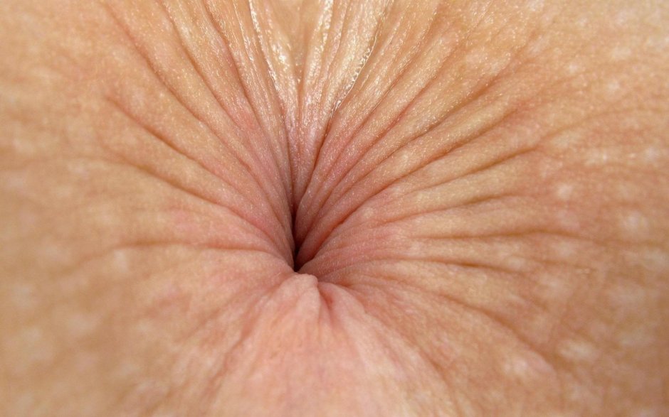 Анус крупный план