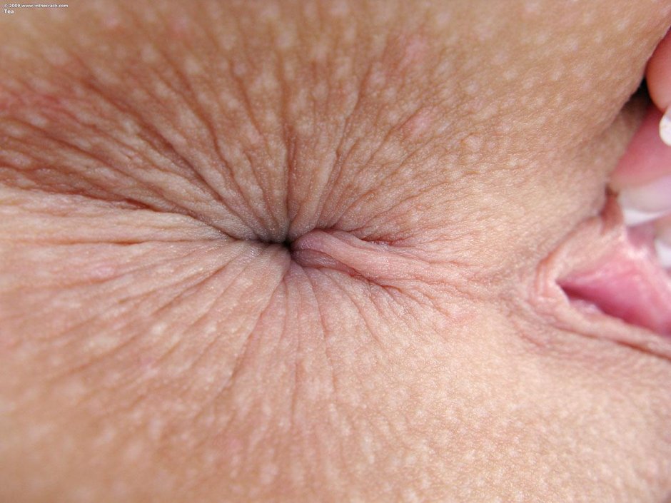 Женские дырочки крупным планом