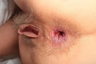 Волосатый женский анус